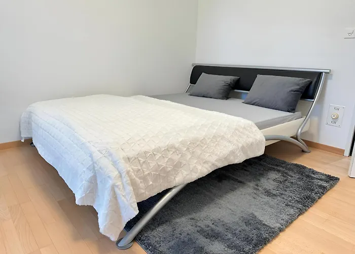 Vk - R - Zuerich Airport - Luxury - Home Stay - Raetschengaessli - Kloten